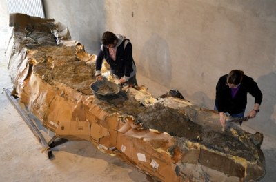 Restes del coll de dinosaure de 5 metres trobat a Figuerola d’Orcau (Foto: ACN / arxiu)