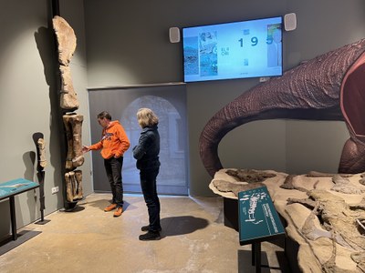 Comparativa de la grandària dels ossos d'un dinosaure amb l'alçada d'una persona (Foto: ACN/Marta Lluvich) 