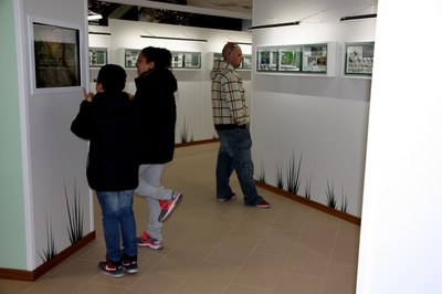 Un grup de persones visitant una de les sales del nou edifici del Museu de les Papallones de Catalunya (Foto: ACN)