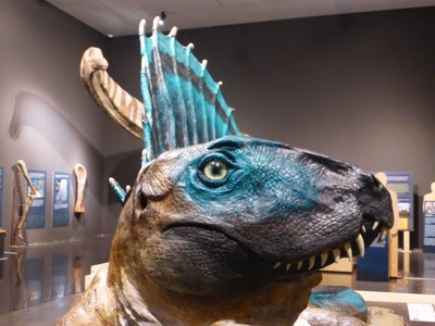 La reproducció d'un dinosaure que es pot veure al Museu de Lleida en el marc de l'exposició 'Què tenim sota els peus? 550 milions d'anys d'evolució a Ponent i el Pirineu' (Foto: Museu de Lleida)