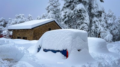 Vehicles colgats a Sant Joan de l'Erm, on aquest cap de setmana s'hi han acumulat -amb dades provisionals- uns 80 centímetres de neu nova (Foto: Marc Obiols)
