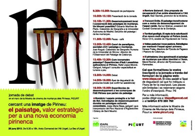 Picurt-IDAPA 2013