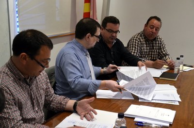 Ple del Consell Comarcal del Pallars Sobirà (Foto: ACN)