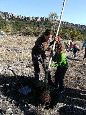 Festa de l'Arbre al Parc Cadí-Moixeró