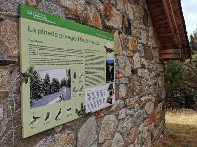 Informació sobre la fauna i la flora de Senet (Foto: TES)