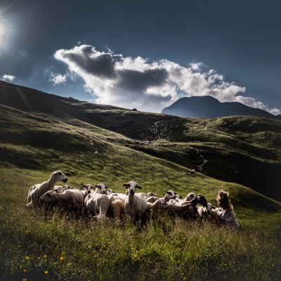 Projecte 'Pasturem el ramat'