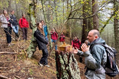 Sortida d'investigadors per analitzar boscos madurs a la zona perifèrica del Parc Nacional d'Aigüestortes (Foto: ACN)