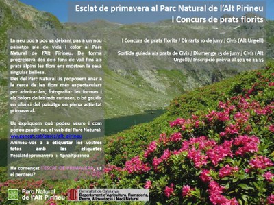 PNAP - Esclat de Primavera 