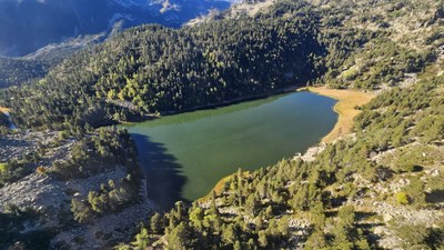 Parc Natural de l'Alt Pirineu (Foto: Gencat)