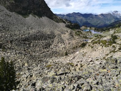Glacera rocallosa del Parc Natural de l'Alt Pirineu (Foto: Acció Climàtica)