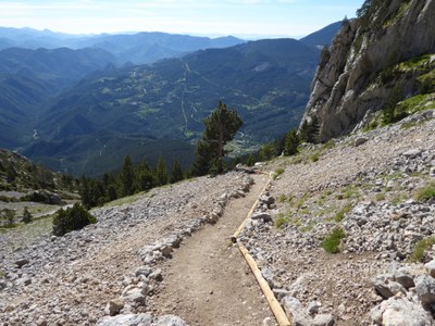 Camí arranjat (Foto: TES)