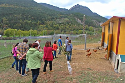 Visita a Ecoavícola, pollastres ecològics del Cadí-Moixeró 