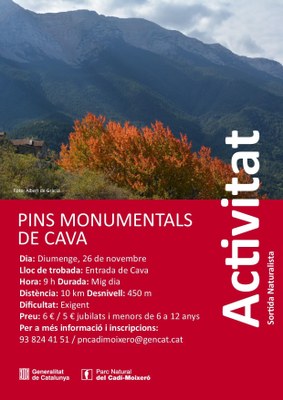 Sortida naturalista a Cava