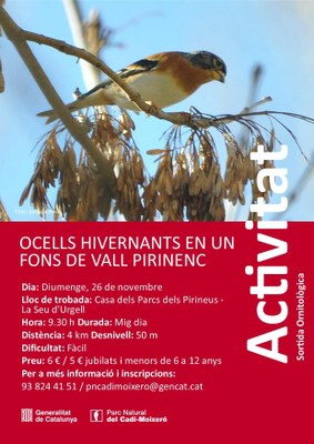 Sortida ornitològica pels voltants de la Seu d'Urgell