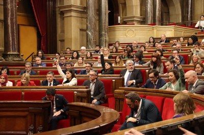 Votació al Parlament per reconèixer l'aranès com a llengua vehicular a l'ensenyament de la vall (Foto: ACN)
