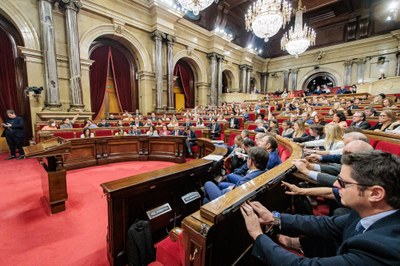 Ple del Parlament (Foto: Parlament de Catalunya / arxiu)