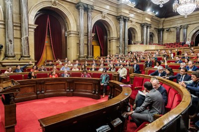 Votació al Parlament, avui dijous (Foto: Parlament de Catalunya)