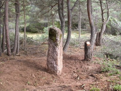 Fotografia: Menhir de Sant Magí. Autor: Carles Gascón Chopo  