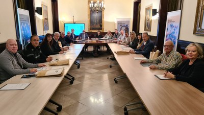 Reunió de la Junta del Patronat de Turisme de la Diputació (Foto: Diputació de Lleida)