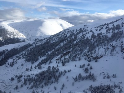 La Molina, aquest cap de setmana