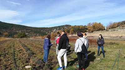 Alumnes del PTT amb un membre de l'Associació Menja't l'Alt Urgell (Foto: Ajuntament de la Seu)