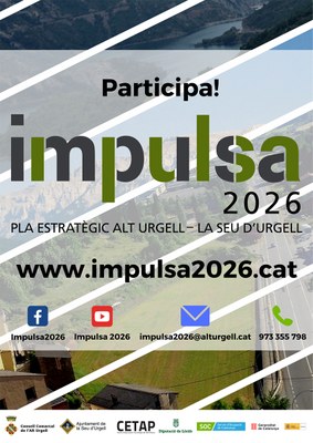 Pla estratègic IMPULSA 2016