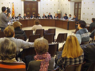 Ple la Seu 10.12.2012