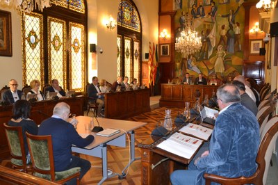 Ple de la Diputació de Lleida (Foto: Diputació de Lleida)
