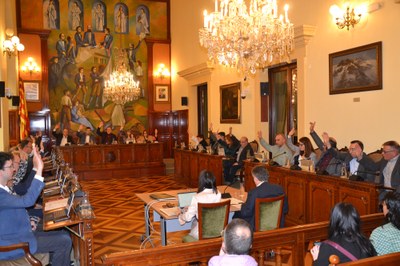 Ple de la Diputació de Lleida, aquest dijous (Foto: DdL)