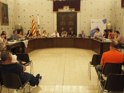 Ple de l'Ajuntament de la Seu d'Urgell