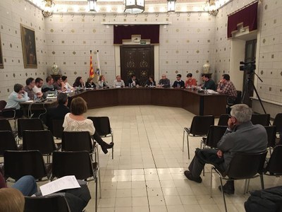Ple de l'Ajuntament de la Seu