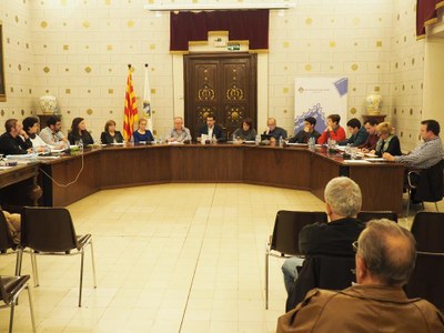 Ple de l'Ajuntament de la Seu