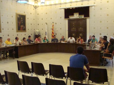 Ple Ajuntament de la Seu - 14.07.14
