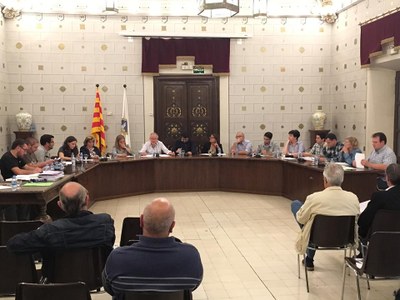 Ple de l'Ajuntament de la Seu