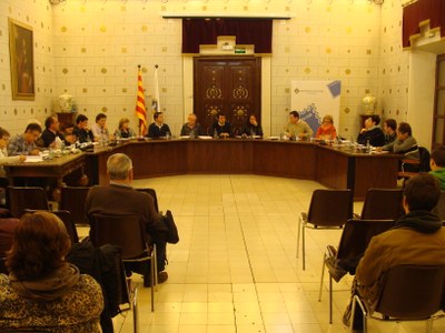 Ple de la Seu 11.2014