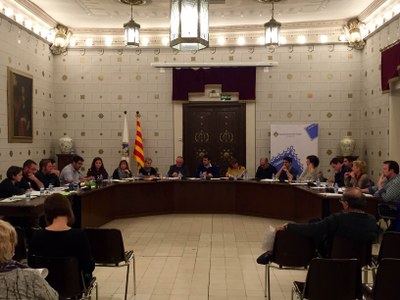 Ple de l'Ajuntament de la Seu d'Urgell (Foto d'Arxiu)