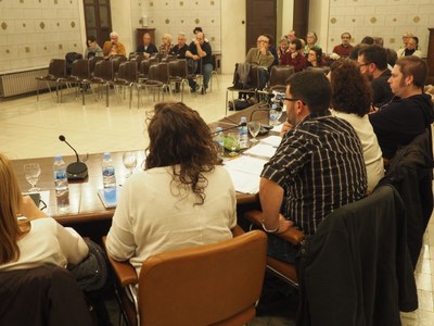Ple de la Seu d'Urgell (11.11.2015)