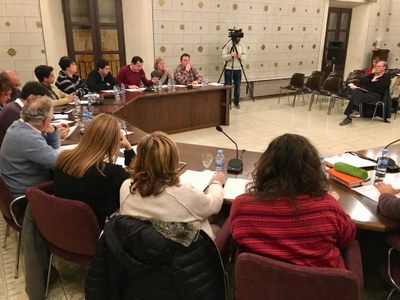 El síndic va ser present al plenari (13/11/2017)