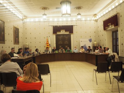 Ple de l'Ajuntament de la Seu - Octubre 2022