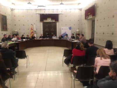 Ple de l'Ajuntament de la Seu d'Urgell