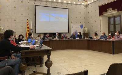 Ple municipal de la Seu d'Urgell