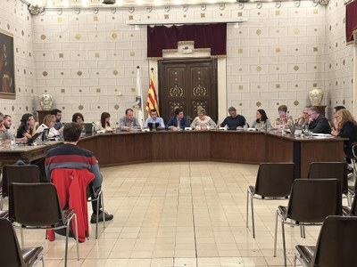 Ple de l'Ajuntament de la Seu d'Urgell - Octubre 2024 (Foto: RàdioSeu)