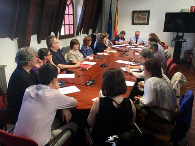 Ple del Consell Comarcal de l'Alt Urgell (14.06.2018)