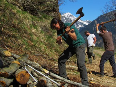 Treballs del Projecte Boscos de Muntanya