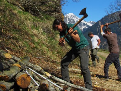 Projecte Boscos de Muntanya