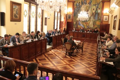 Ple de la Diputació de Lleida (Foto: arxiu)