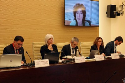 Sessió monogràfica al Parlament sobre la situació de l'aranès (Foto: Parlament de Catalunya)