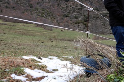 Filat elèctric (Foto: ACN)