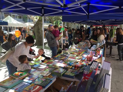 Sant Jordi 2017 a la Seu