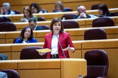 Sara Bailac, senadora i portaveu d'ERC al Senat (Foto: ERC)